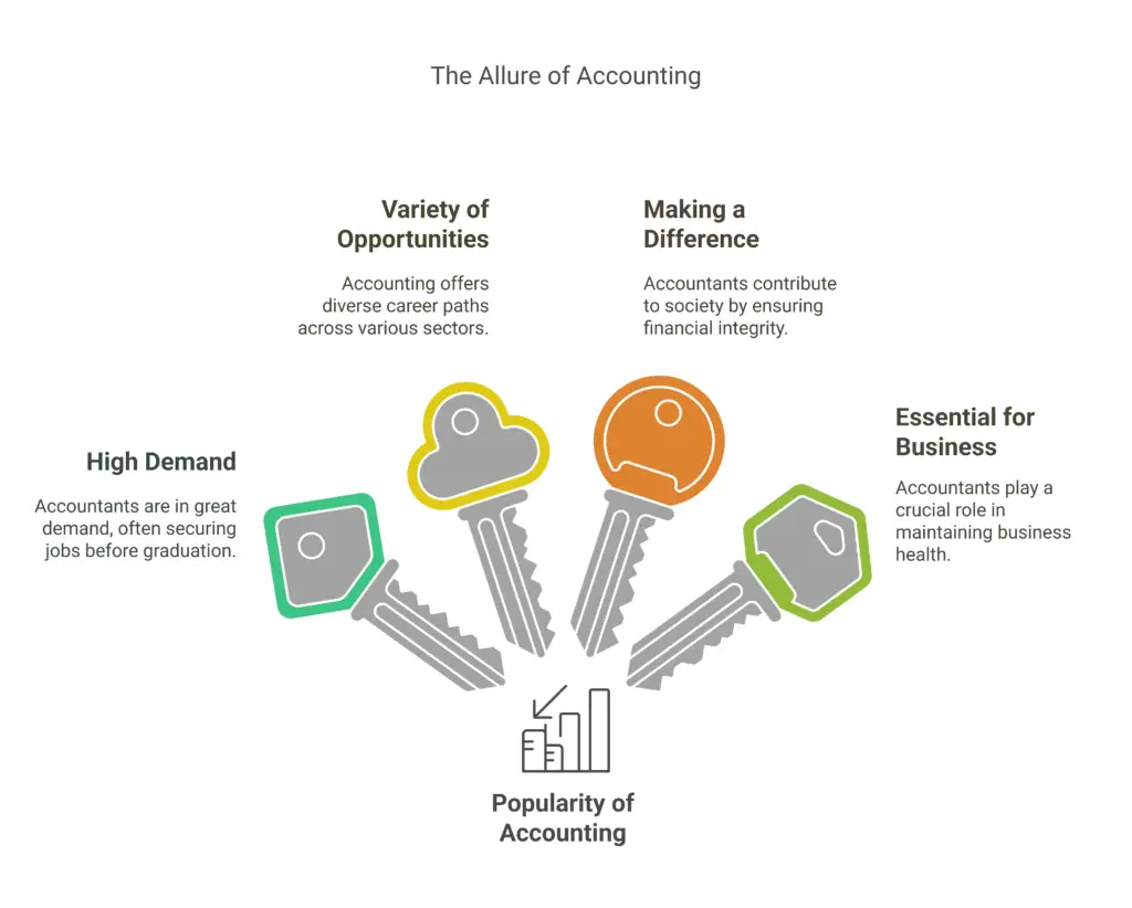 Why is Accounting So Popular